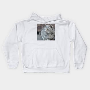 Feral grey cat Kids Hoodie